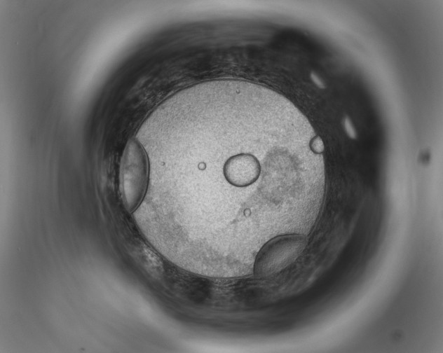 X0000115780766200911271204