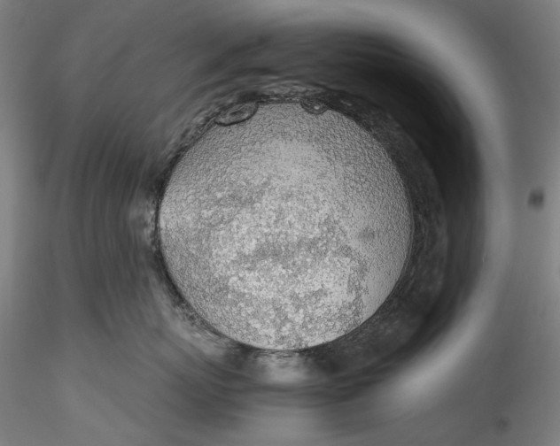 X0000115780767200911271204