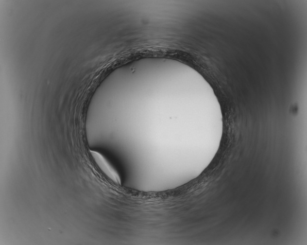 X0000115780769200911271203