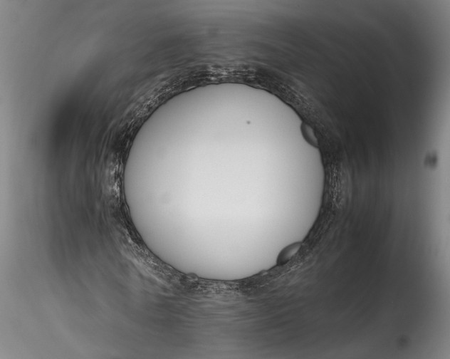 X0000115780770200911271203