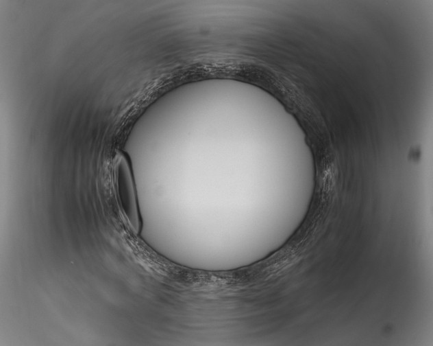 X0000115780772200911271203