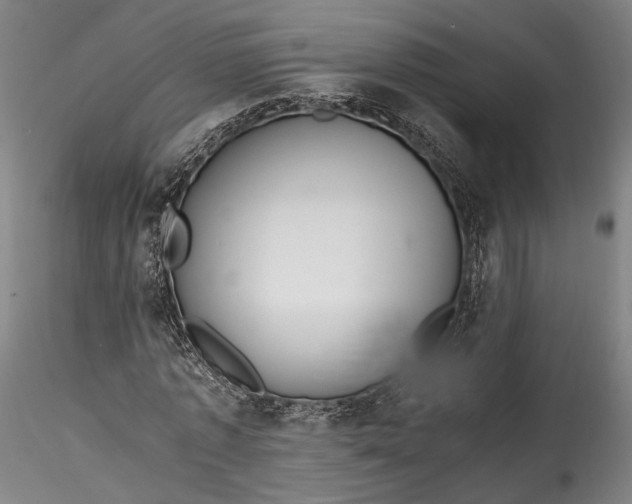 X0000115780773200911271203