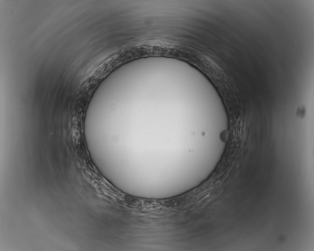 X0000115780774200911271203