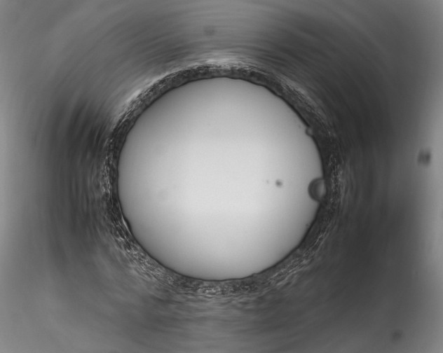 X0000115780776200911271203