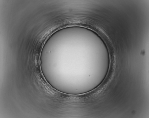 X0000115780777200911271203