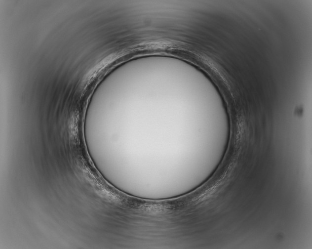 X0000115780778200911271203