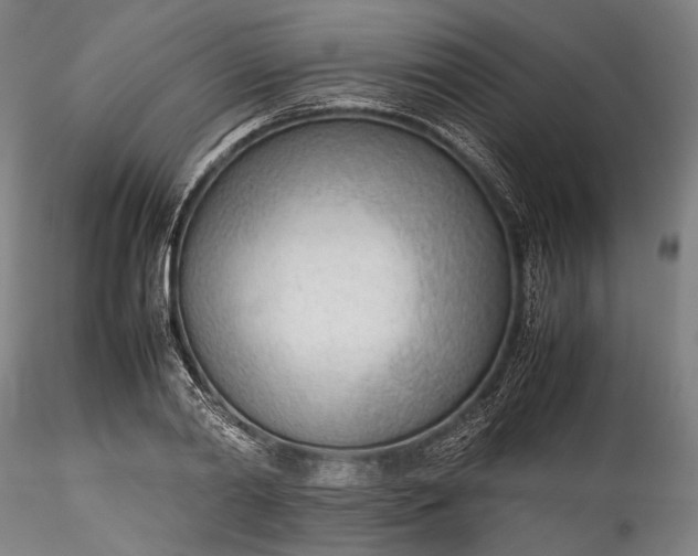 X0000115780790200911271203