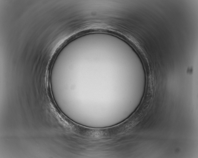 X0000115780791200911271203