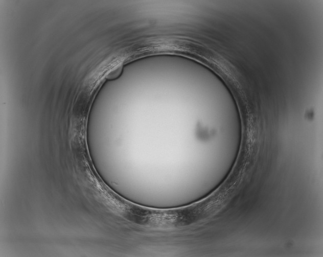 X0000115780793200911271203