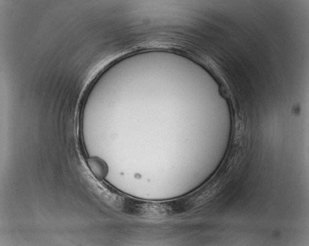 X0000115780795200911271203