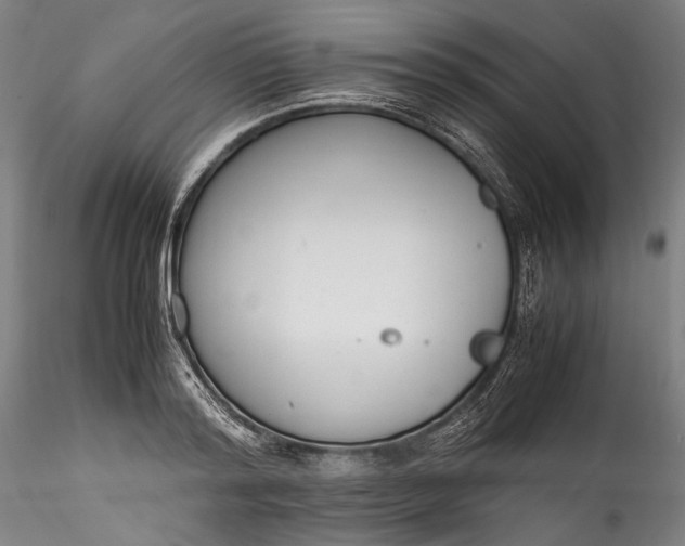 X0000115780796200911271203