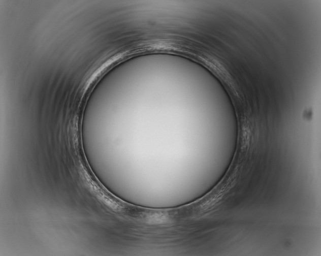 X0000115780798200911271203