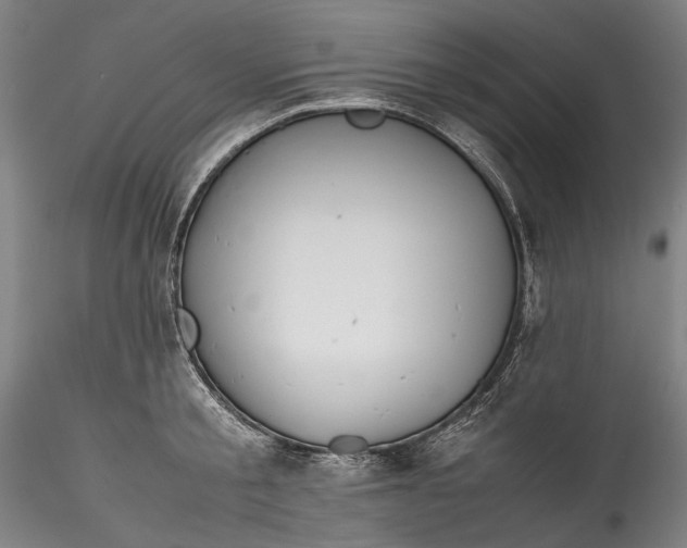 X0000115780805200911271203