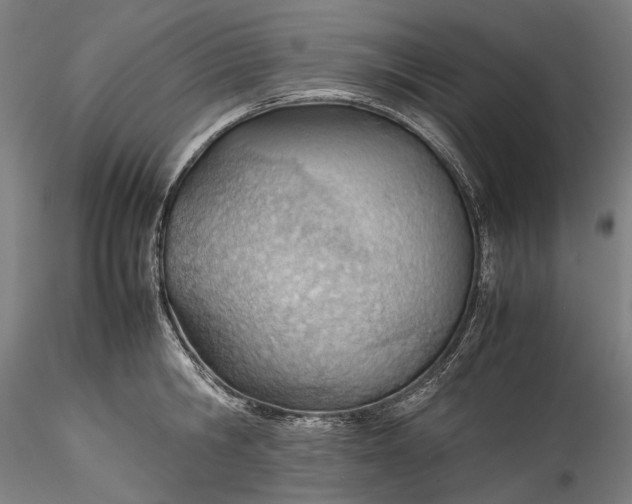 X0000115780806200911271203