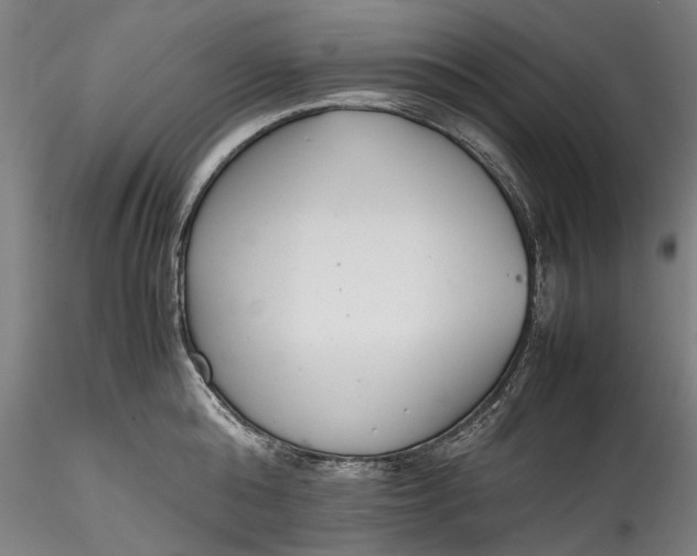 X0000115780808200911271203