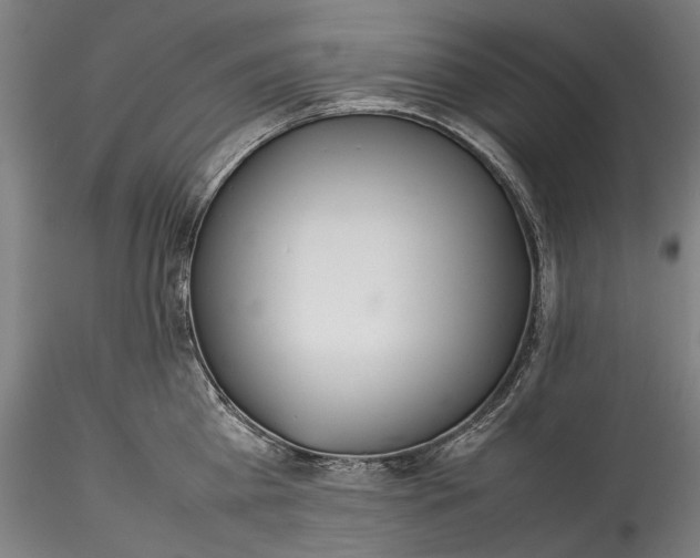 X0000115780809200911271203