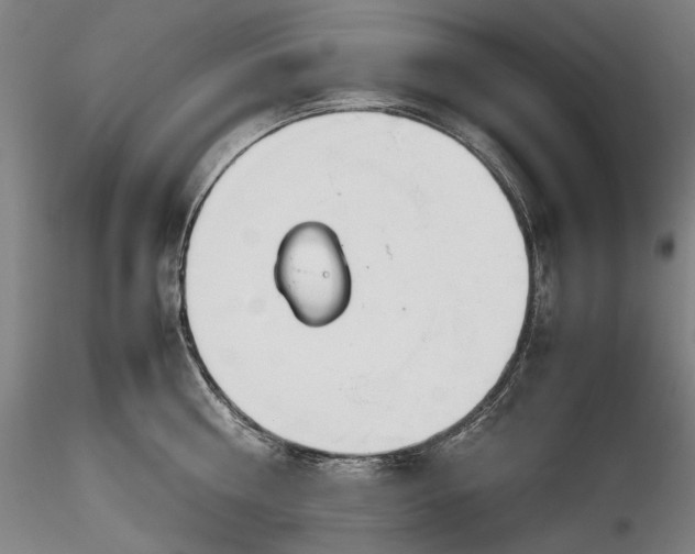 X0000115780810200911271203