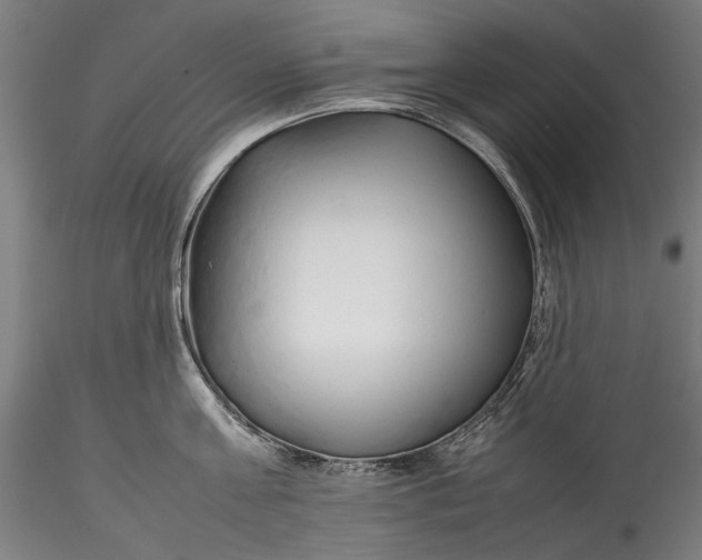 X0000115780811200911271203