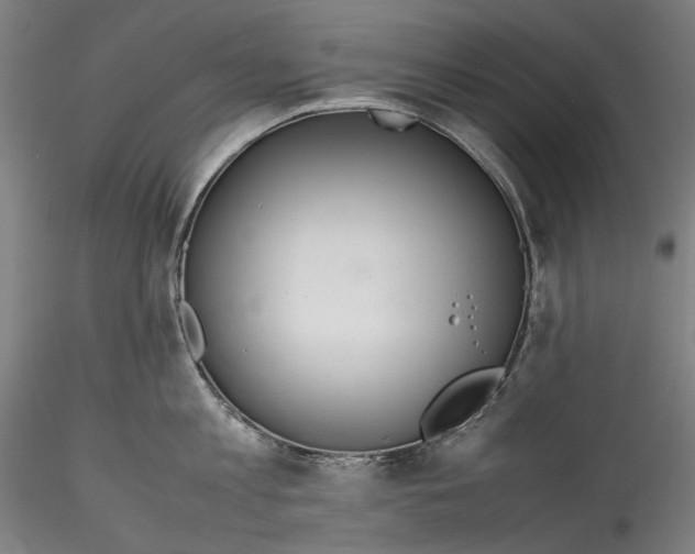 X0000115780813200911271203