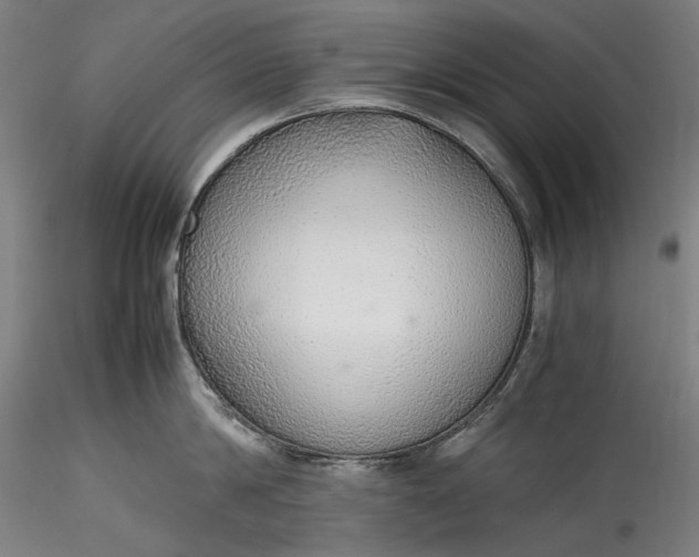 X0000115780814200911271203