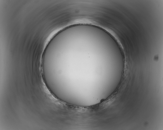 X0000115780815200911271203