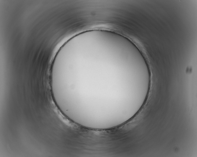 X0000115780816200911271203