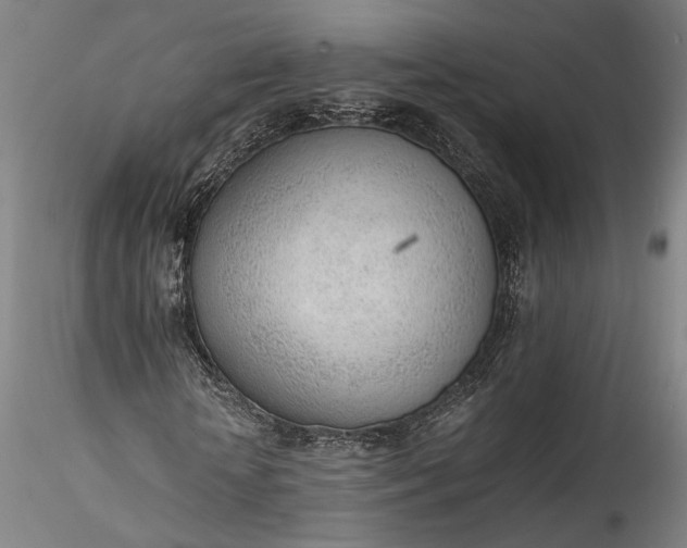 X0000115780818200911271202