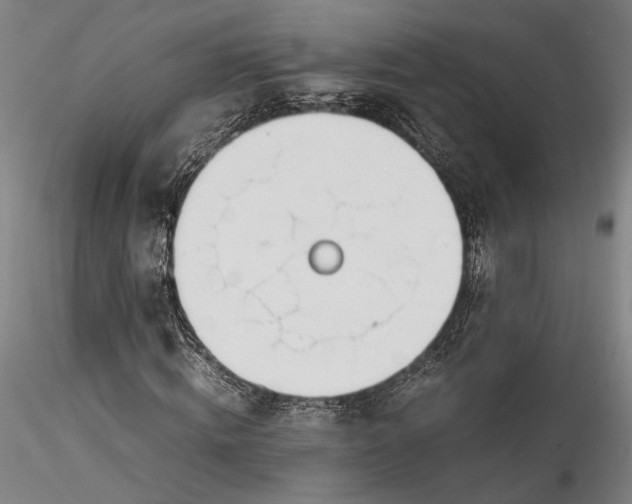 X0000115780820200911271202