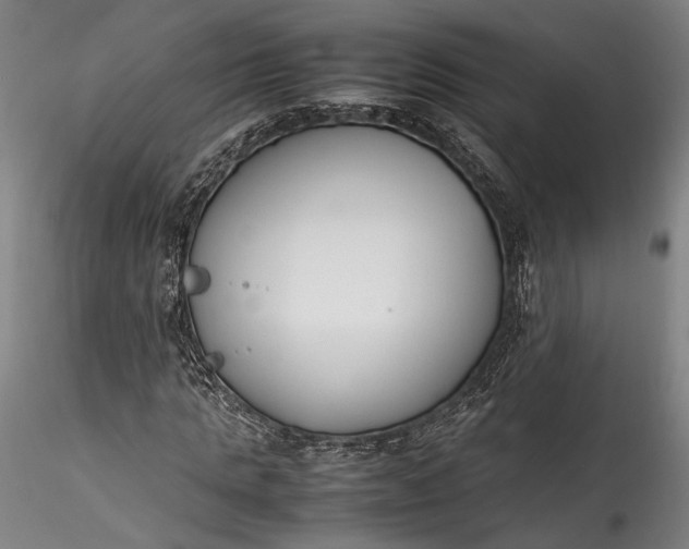 X0000115780821200911271202