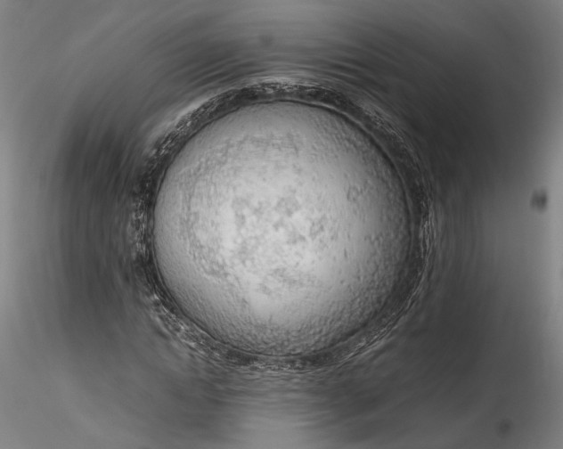 X0000115780822200911271202