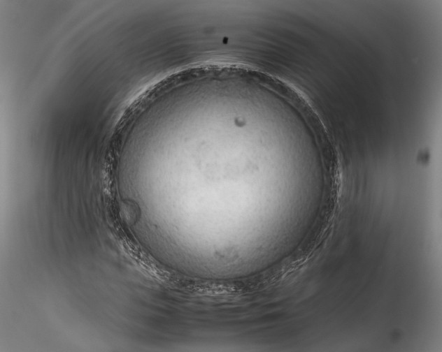 X0000115780823200911271202