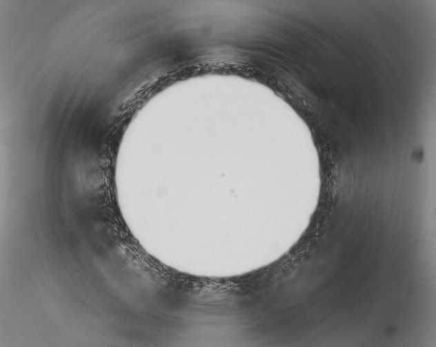 X0000115780824200911271202