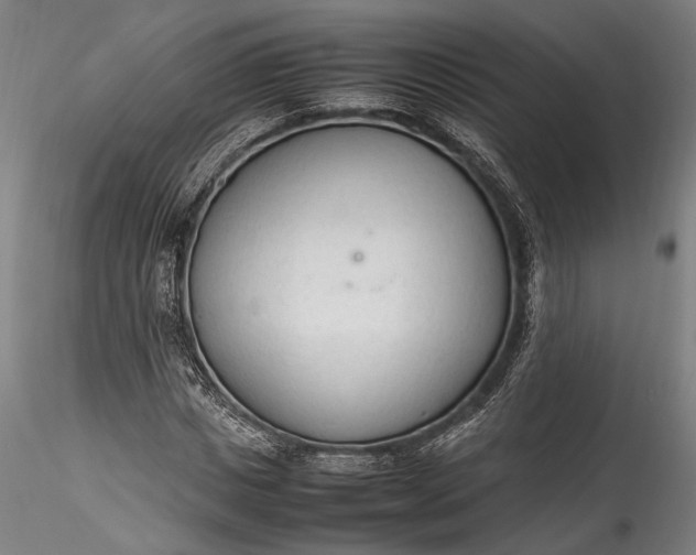 X0000115780825200911271202