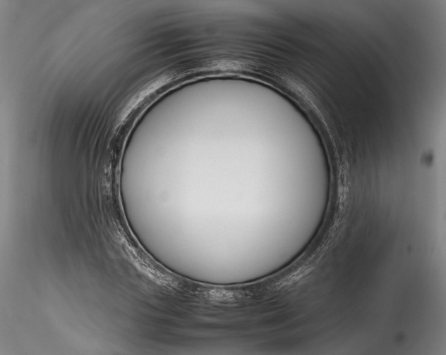 X0000115780827200911271202