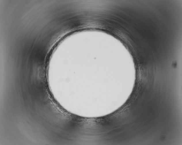 X0000115780828200911271202