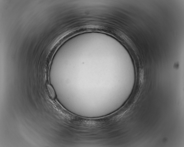 X0000115780829200911271202