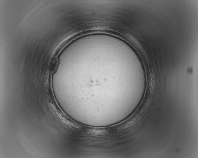 X0000115780831200911271202