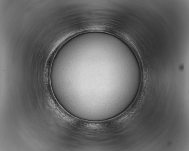 X0000115780835200911271202