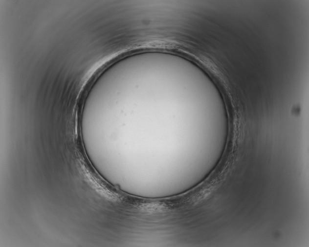 X0000115780838200911271202