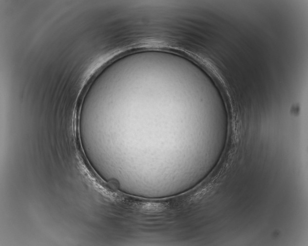 X0000115780839200911271202