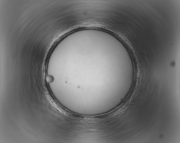 X0000115780840200911271202