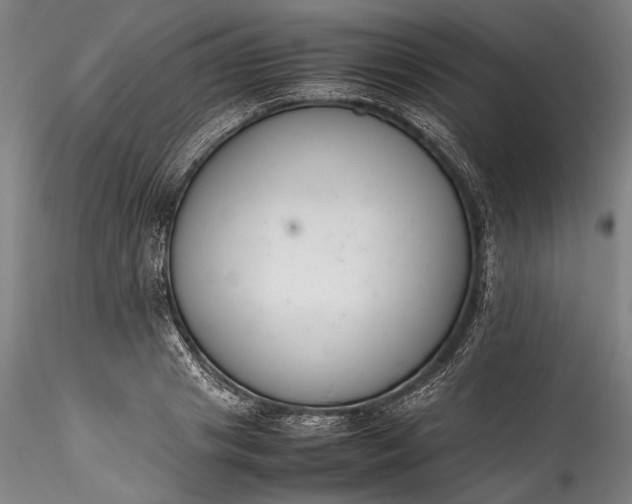 X0000115780841200911271202