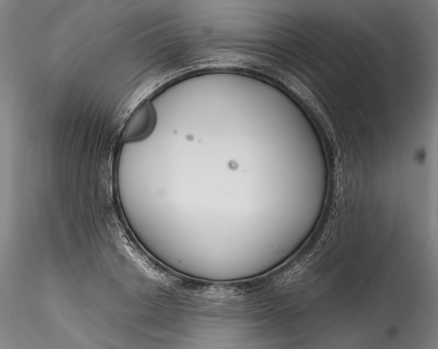 X0000115780842200911271202