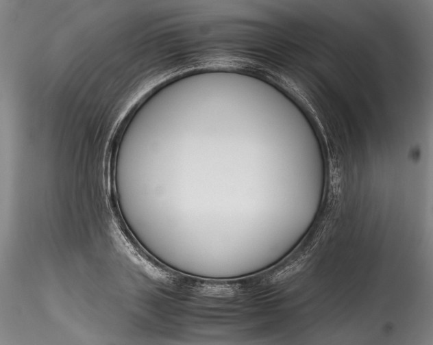 X0000115780843200911271202