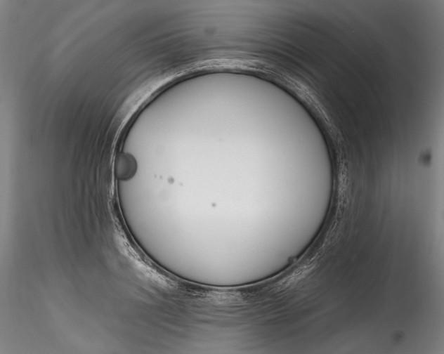 X0000115780844200911271202