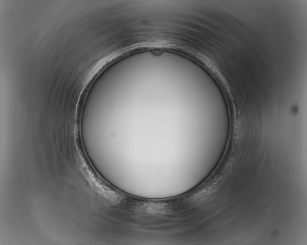 X0000115780845200911271202