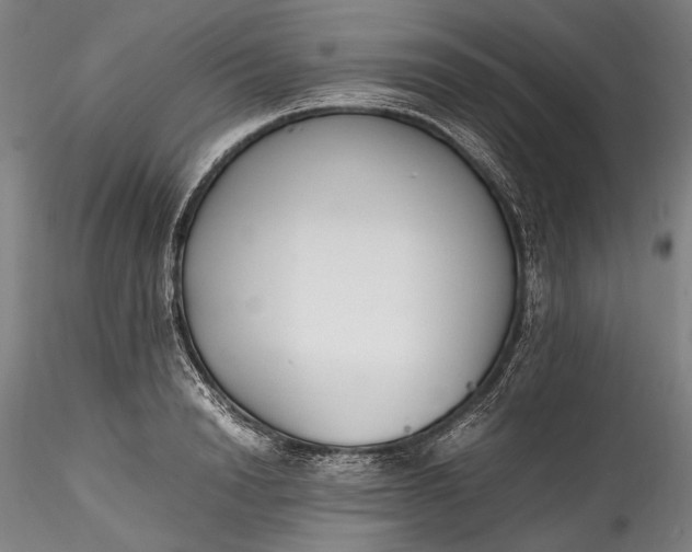 X0000115780846200911271202