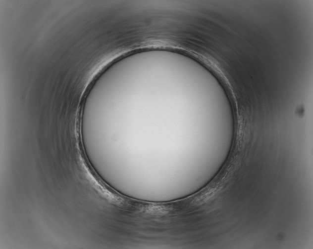 X0000115780847200911271202