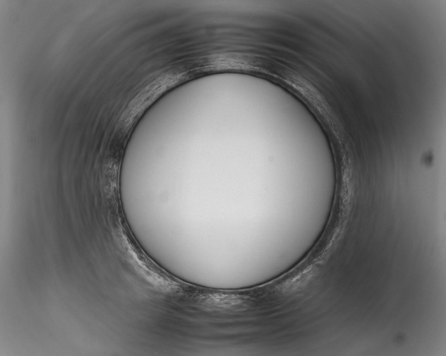 X0000115780849200911271202