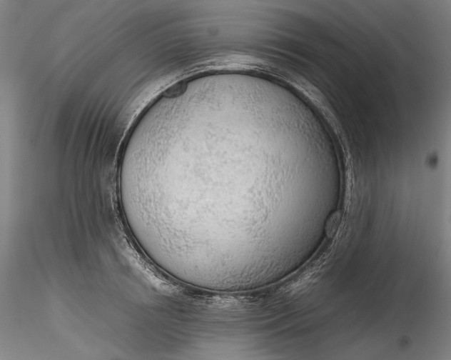 X0000115780850200911271202